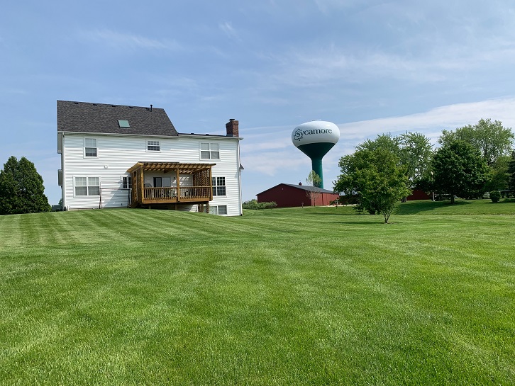 Homepage Elm Street Realtors